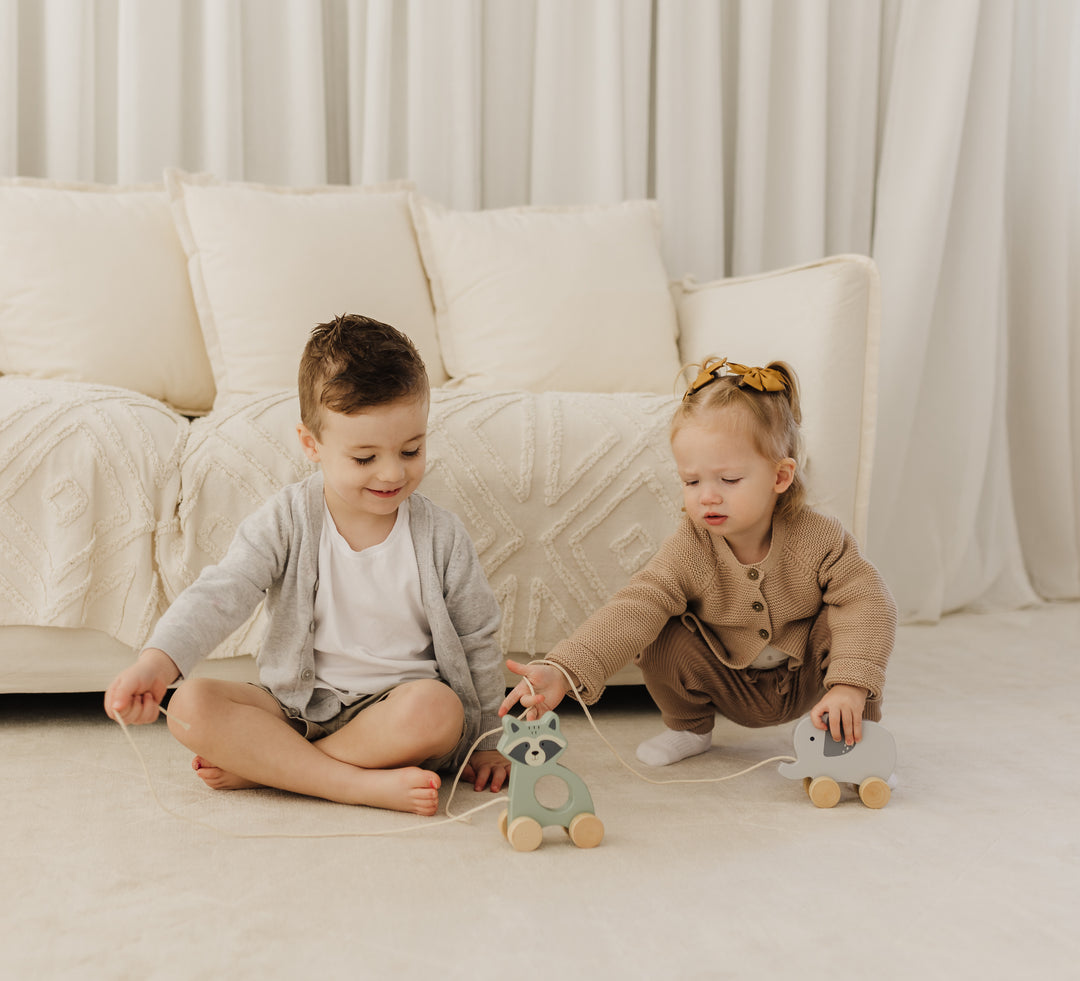 BUBBLE WOODEN ELEPHANT PULL ALONG TOY