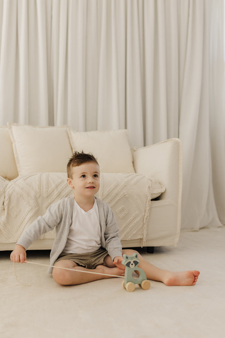 BUBBLE WOODEN RACCOON PULL ALONG TOY