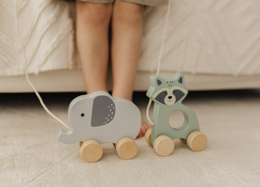 BUBBLE WOODEN RACCOON PULL ALONG TOY