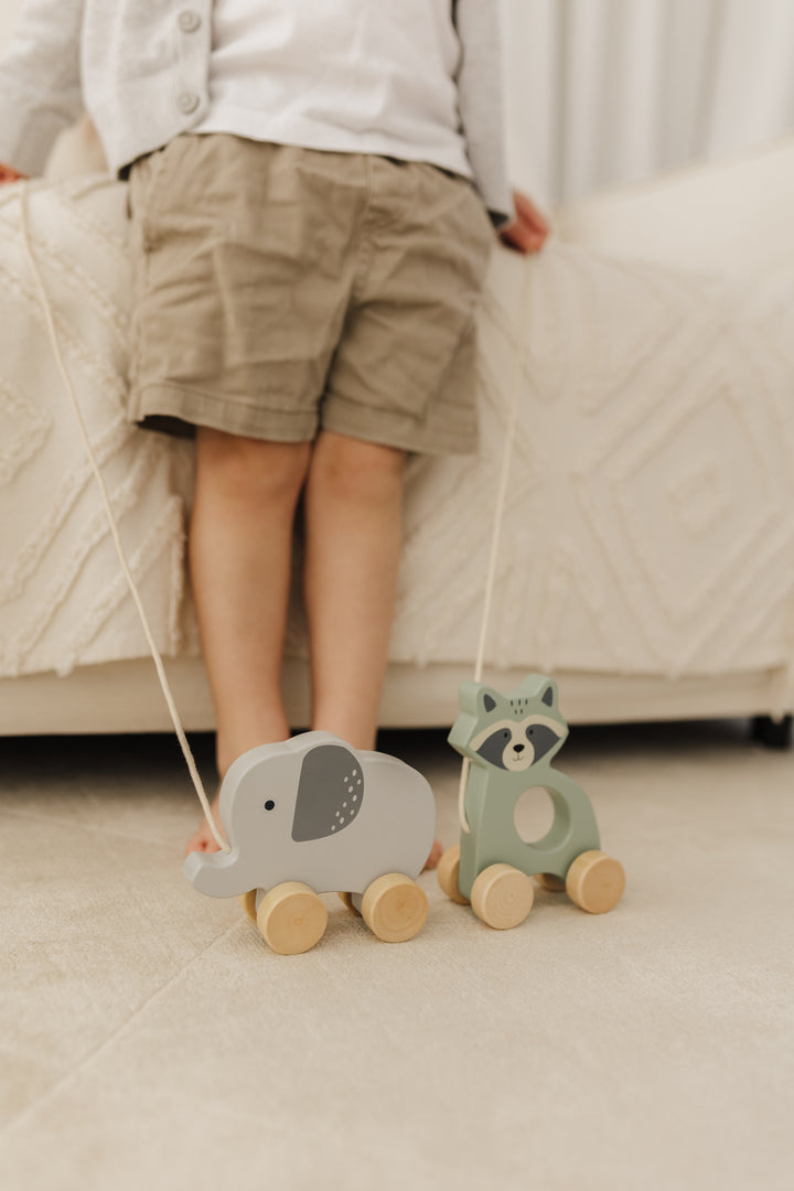 BUBBLE WOODEN RACCOON PULL ALONG TOY