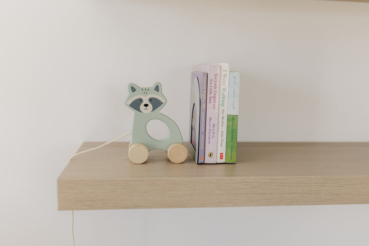 BUBBLE WOODEN RACCOON PULL ALONG TOY