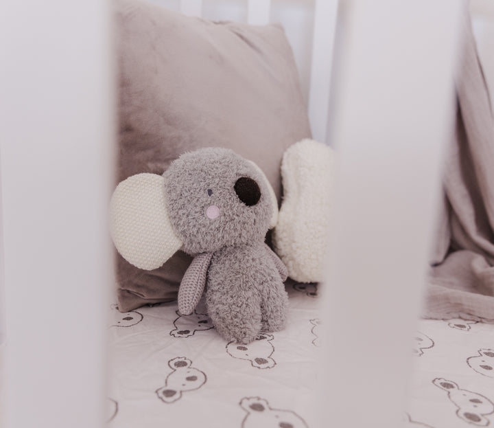 Bubble Coco the Koala