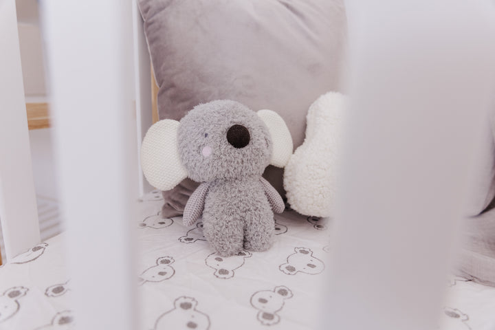 Bubble Coco the Koala