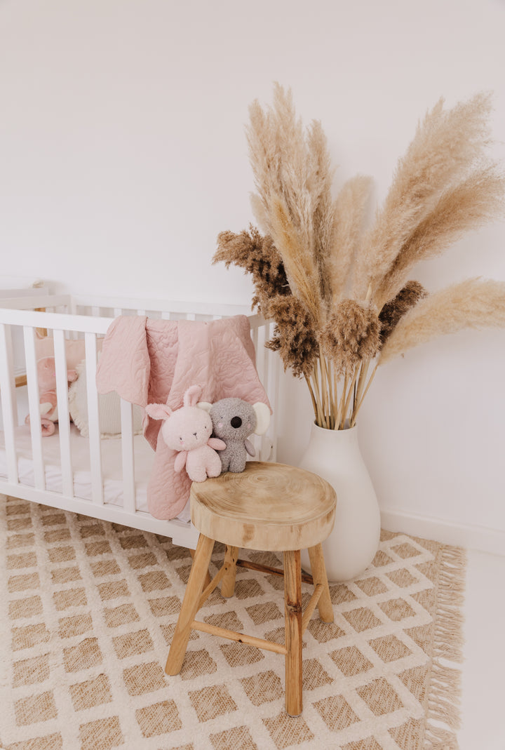 Bubble Coco the Koala