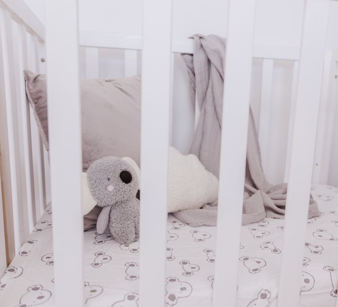 Bubble Coco the Koala
