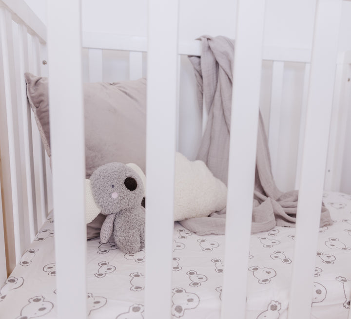Bubble Coco the Koala