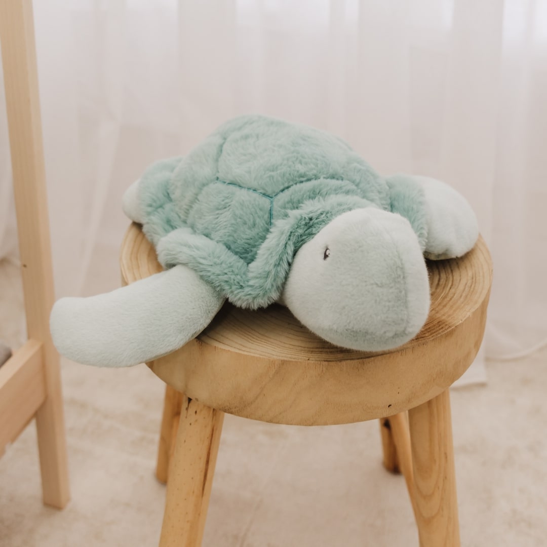 Bubble Plush Toy - Toby the Turtle