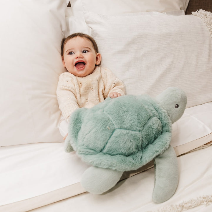 Bubble Plush Toy - Toby the Turtle