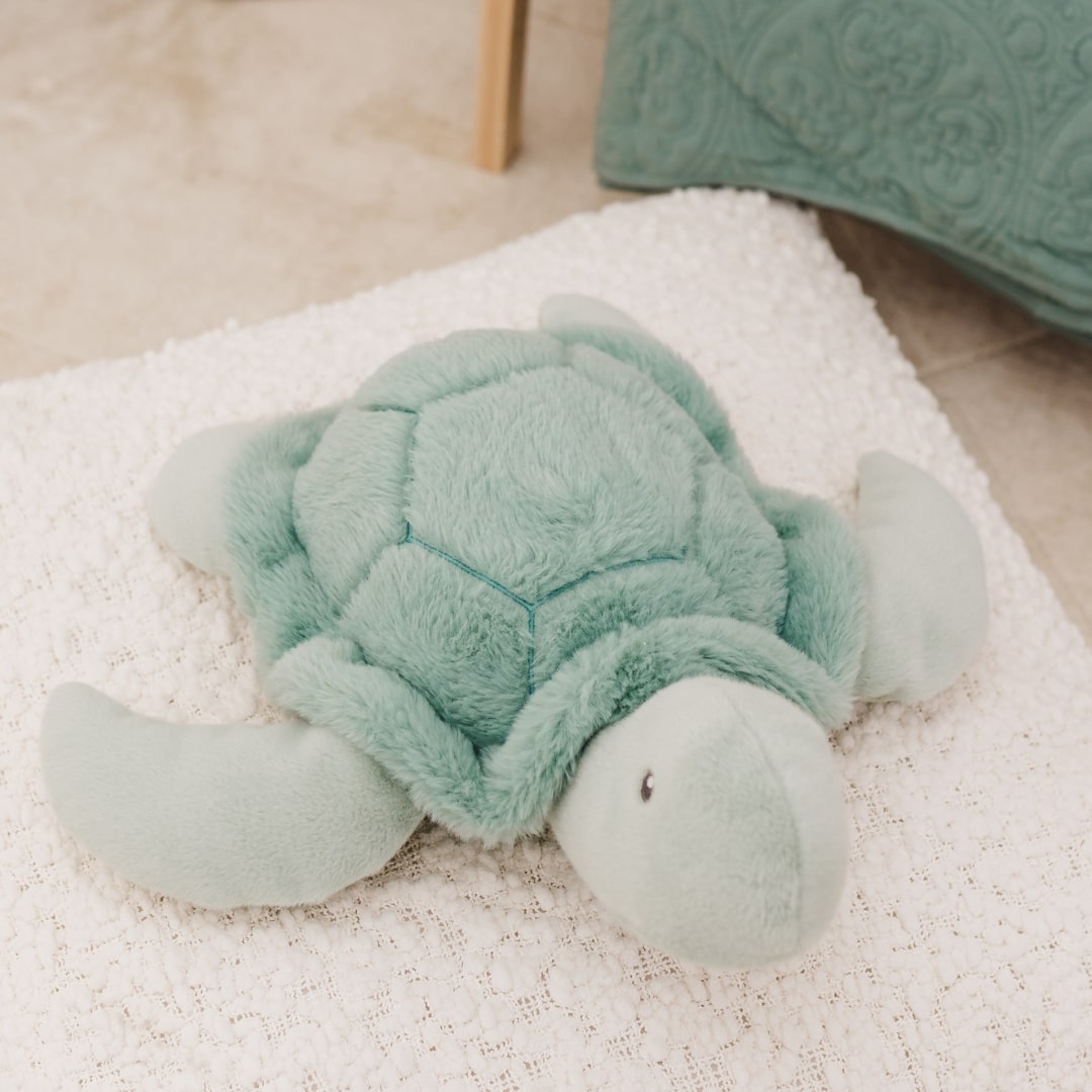 Bubble Plush Toy - Toby the Turtle
