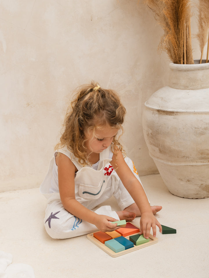 Bubble Montessori by Eichhorn Shape Puzzle