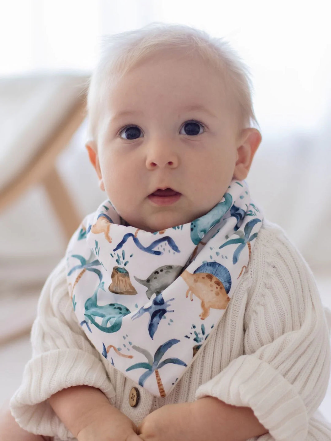 Bambella Designs Bandana Bibs 2 Pack | Wild Dinosaurs & Navy