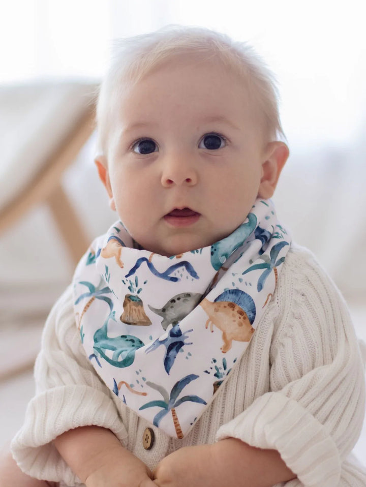 Bambella Designs Bandana Bibs 2 Pack | Wild Dinosaurs & Navy