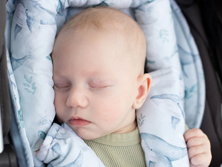Bambella Designs Infant Head Support | Turtle Bay