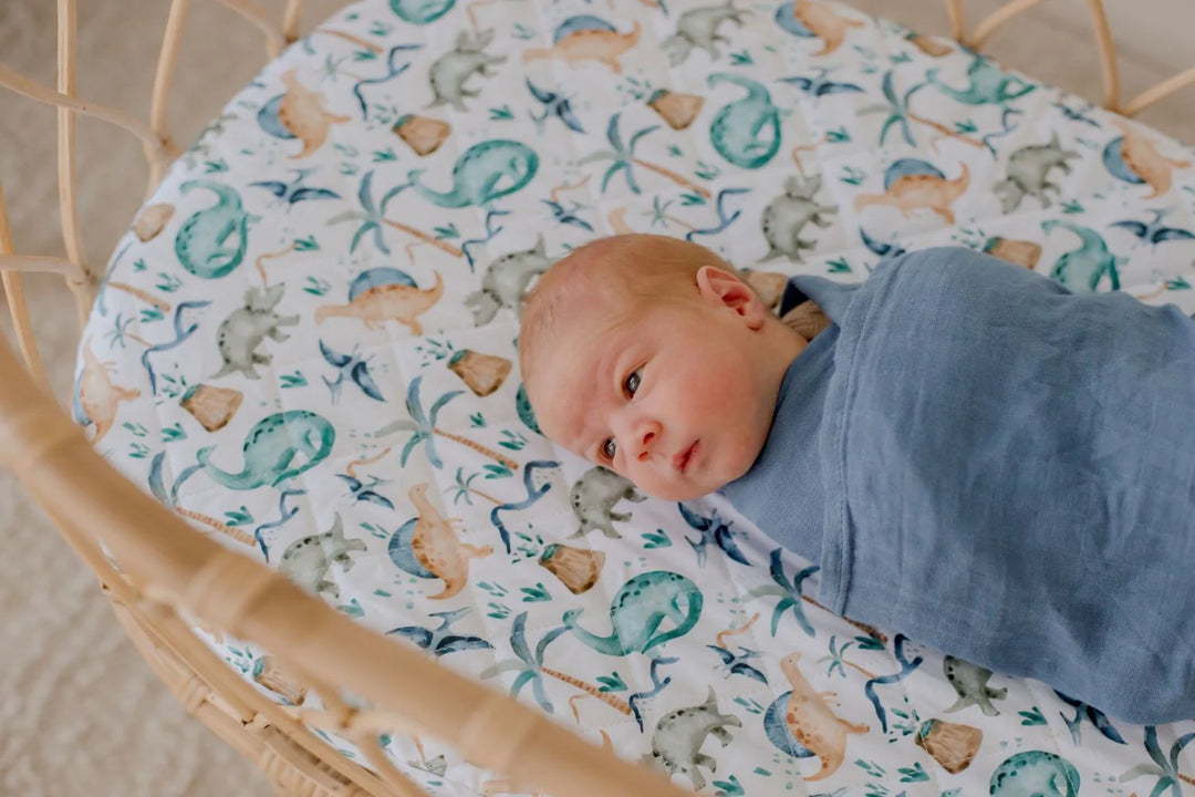 Bambella Designs Waterproof Bassinet Sheet/Change Mat Cover | Wild Dinosaurs