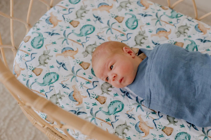 Bambella Designs Waterproof Bassinet Sheet/Change Mat Cover | Wild Dinosaurs