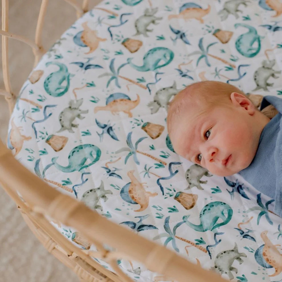 Bambella Designs Waterproof Bassinet Sheet/Change Mat Cover | Wild Dinosaurs