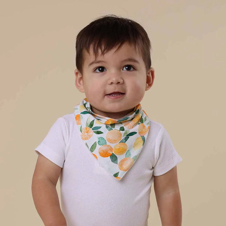 Organic Dribble Bib - Citrus Squeeze