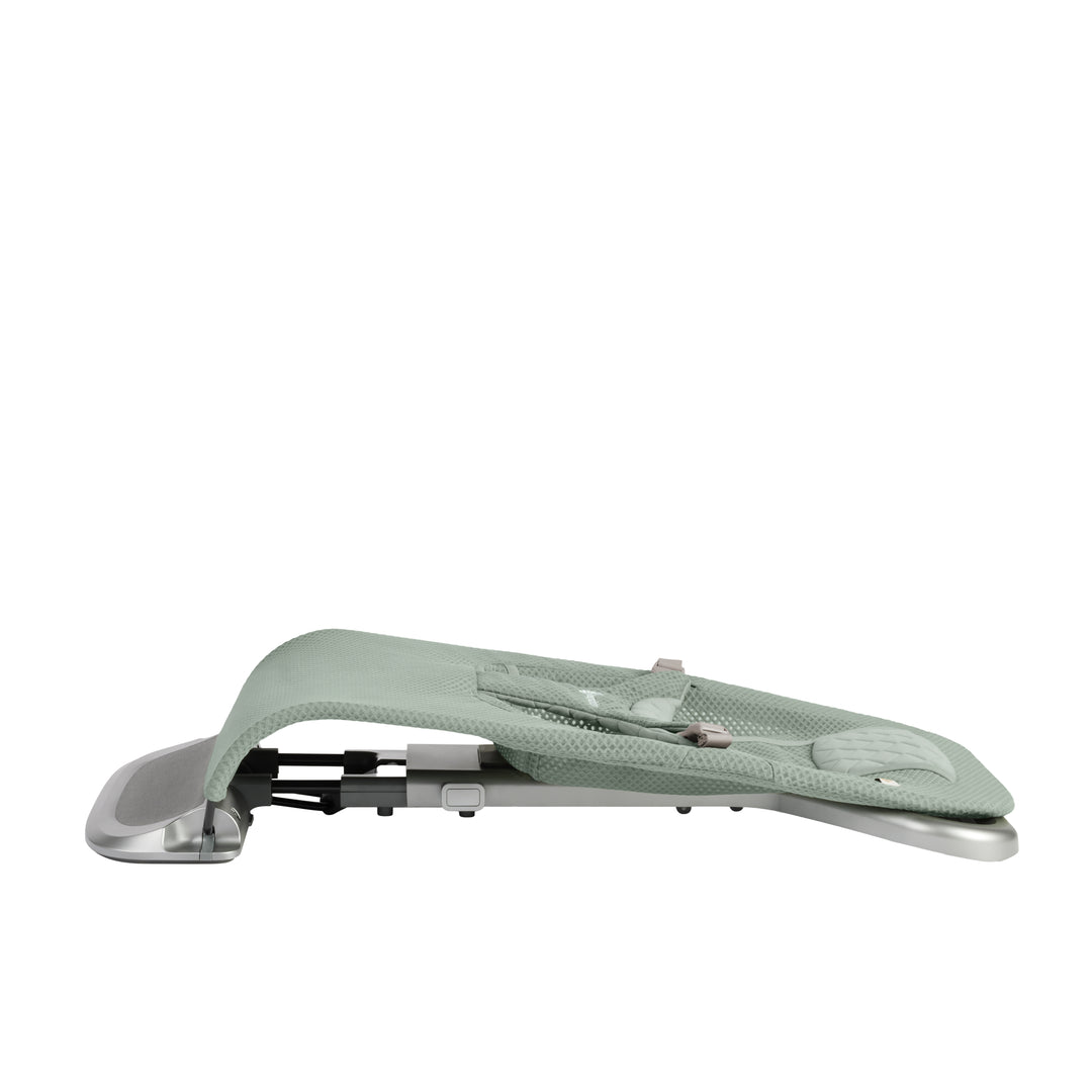 Ergobaby Evolve 3 in 1 Bouncer Mesh - Sage Green