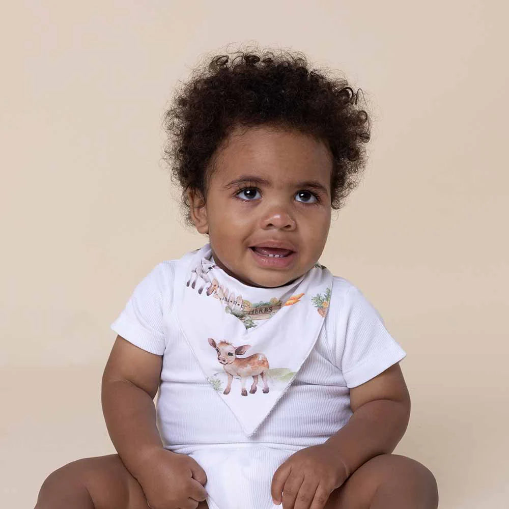 Organic Dribble Bib - Farm