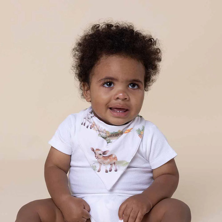 Organic Dribble Bib - Farm