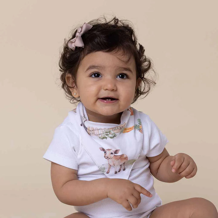 Organic Dribble Bib - Farm