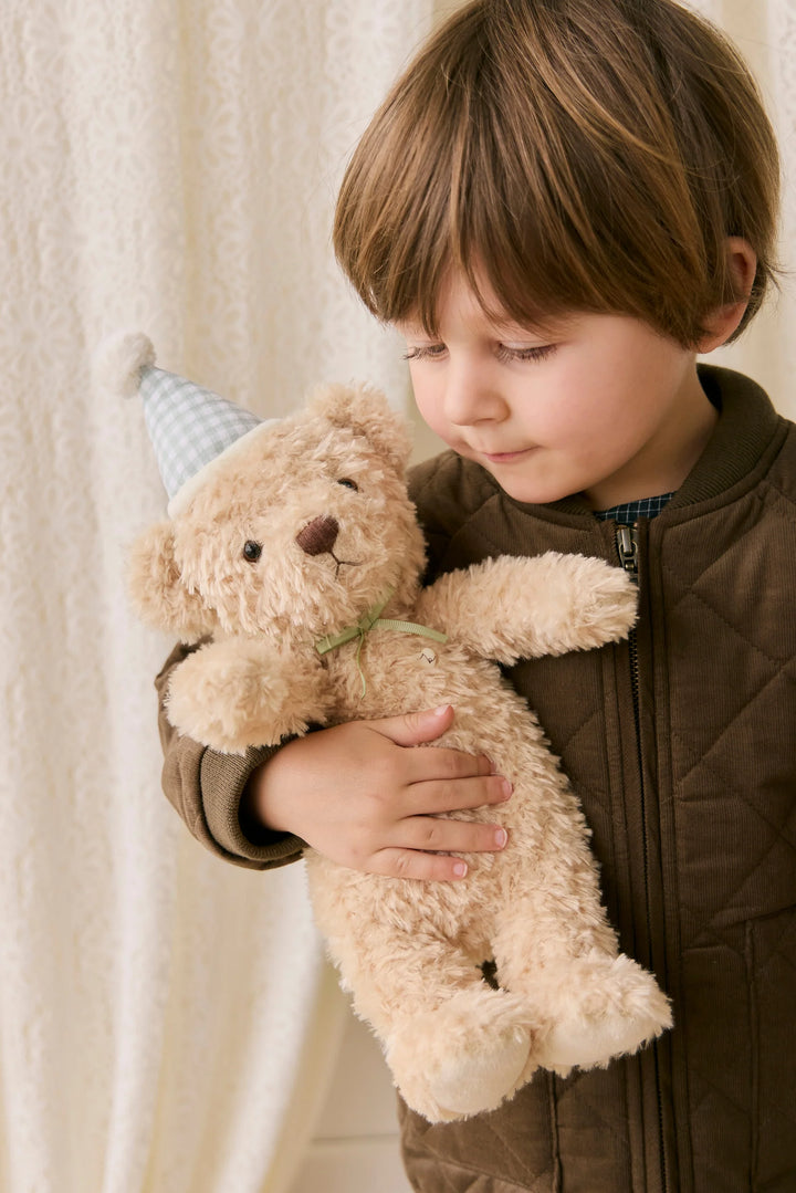 Snuggle Bunnies  Birthday Arthur - Gingham
