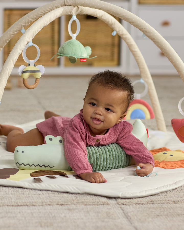 Skip Hop Geometric Wonders Activity Gym