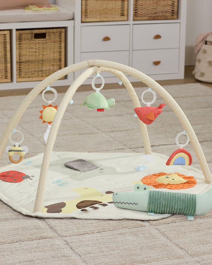 Skip Hop Geometric Wonders Activity Gym