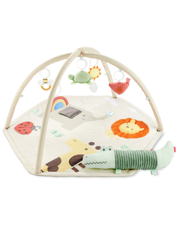 Skip Hop Geometric Wonders Activity Gym