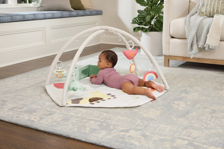Skip Hop Geometric Wonders Activity Gym (NEW)