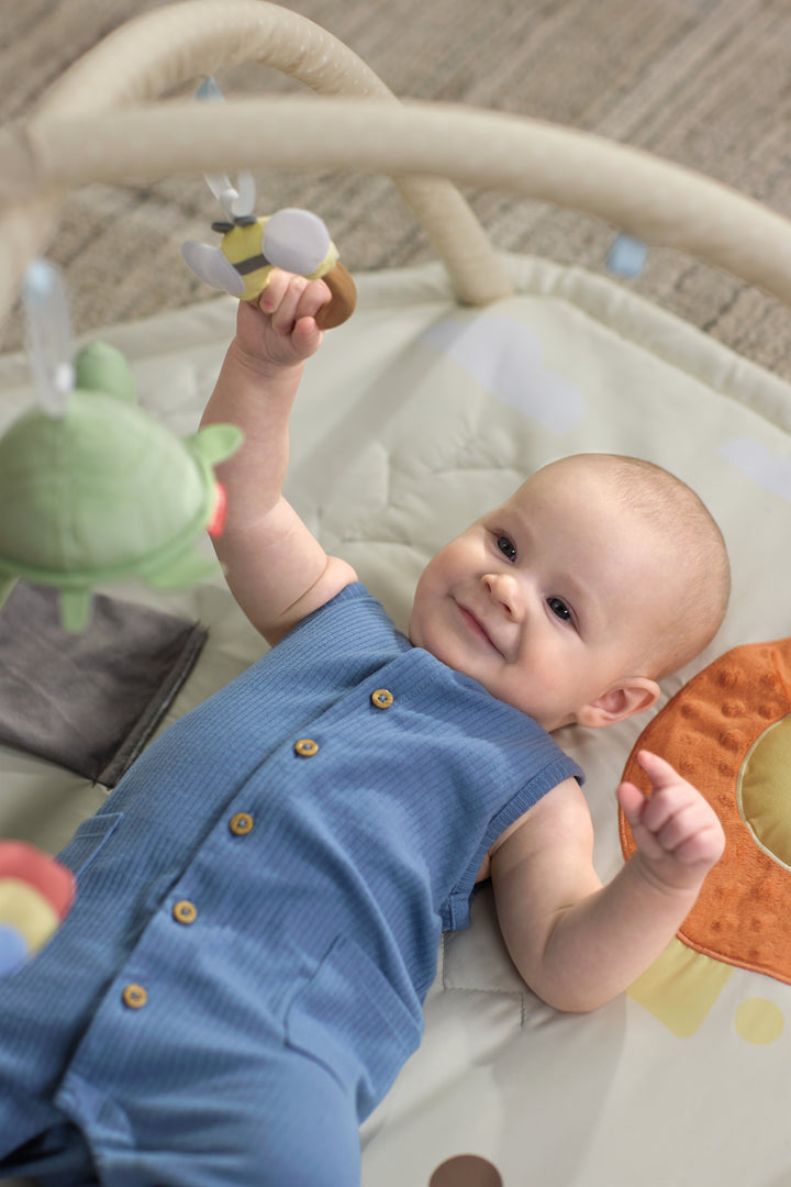 Skip Hop Geometric Wonders Activity Gym (NEW)