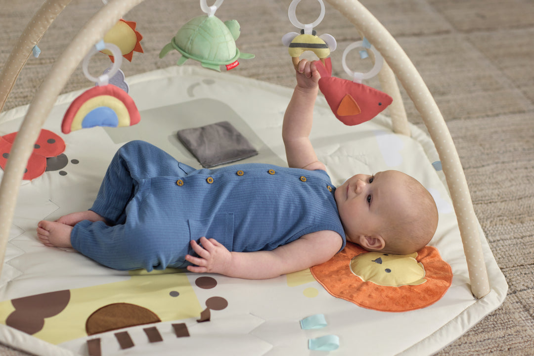 Skip Hop Geometric Wonders Activity Gym (NEW)