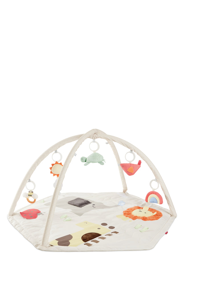Skip Hop Geometric Wonders Activity Gym (NEW)