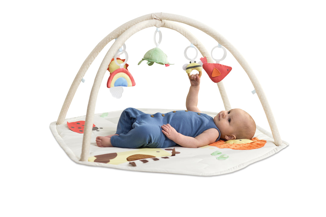Skip Hop Geometric Wonders Activity Gym (NEW)