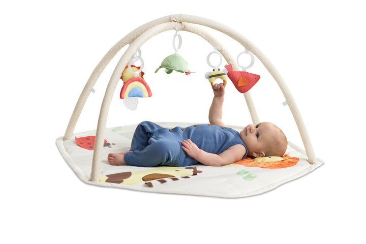 Skip Hop Geometric Wonders Activity Gym (NEW)