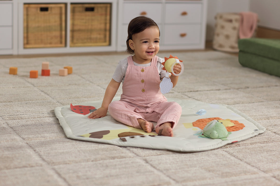 Skip Hop Geometric Wonders Activity Gym (NEW)