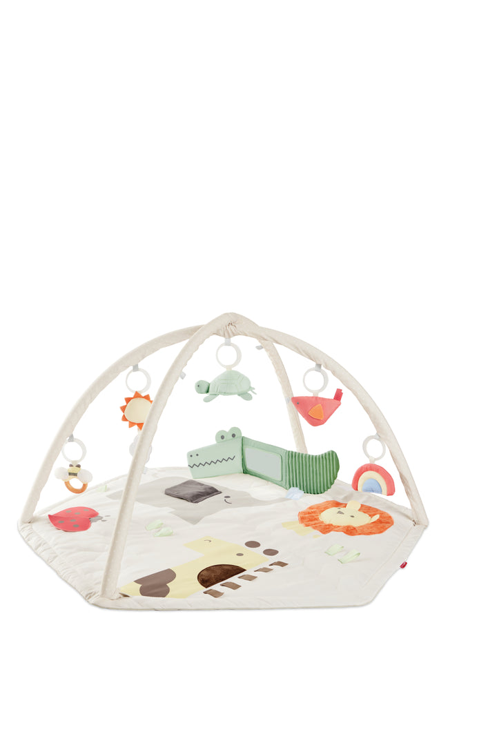Skip Hop Geometric Wonders Activity Gym (NEW)
