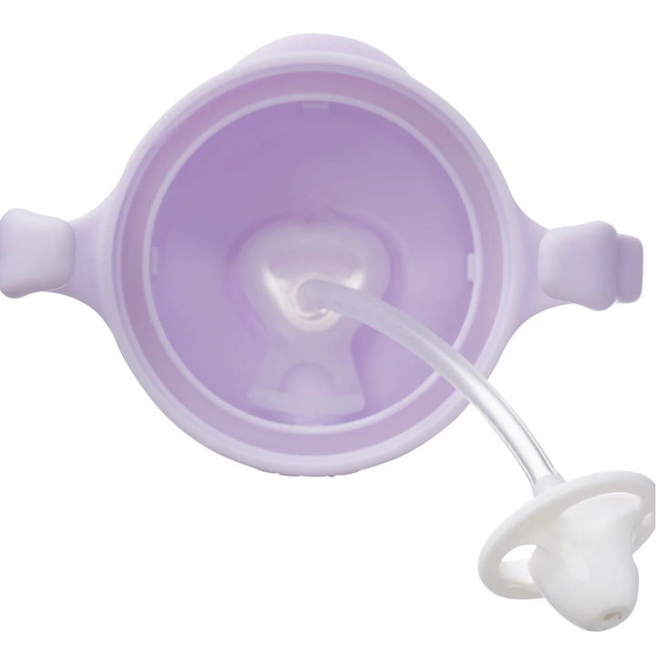 B.Box Sippy Cup - Boysenberry