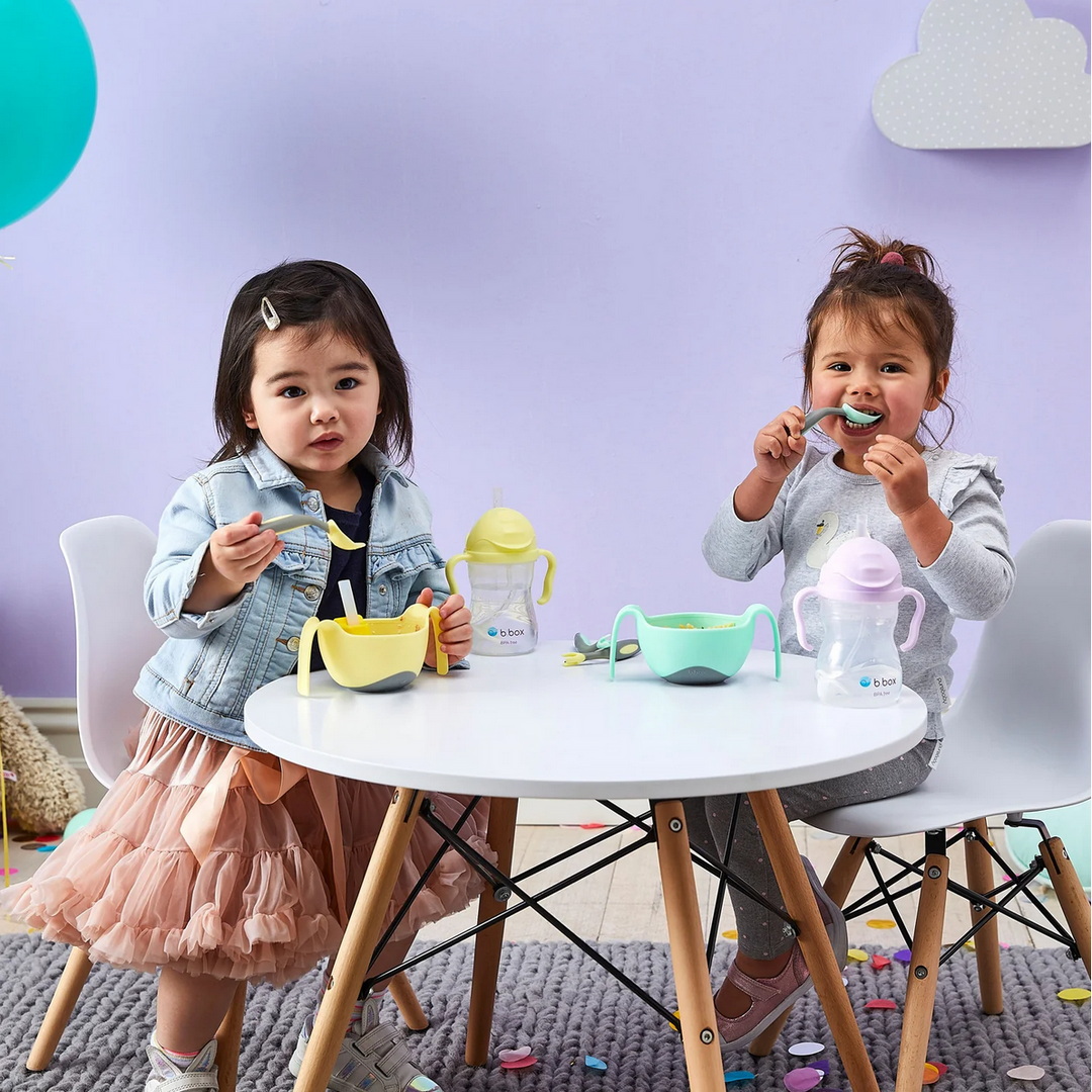 B.Box Sippy Cup - Boysenberry