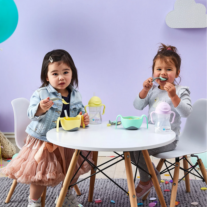 B.Box Sippy Cup - Boysenberry