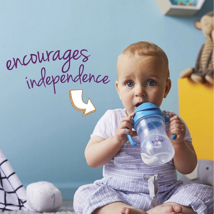 B.Box Sippy Cup - Raspberry