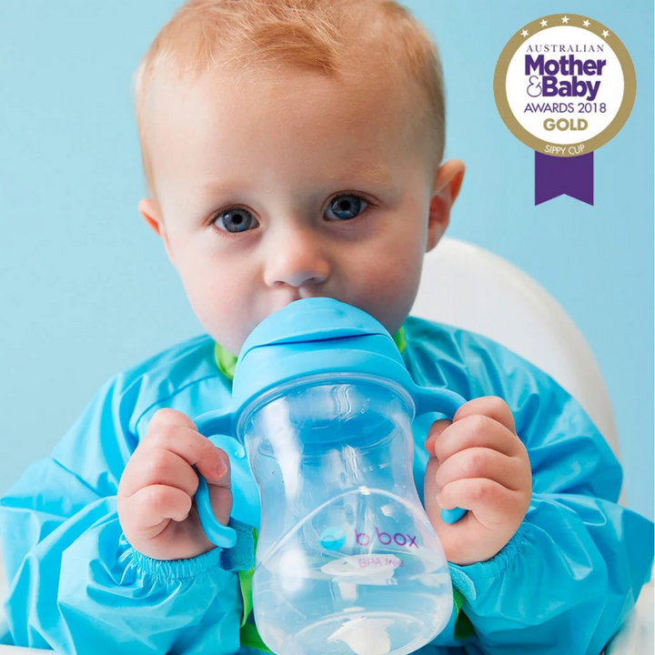 B.Box Sippy Cup - Blueberry