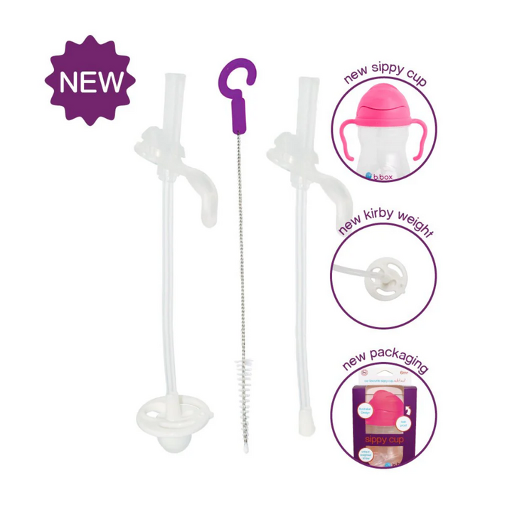 B.Box Replacement Straw & Cleaner