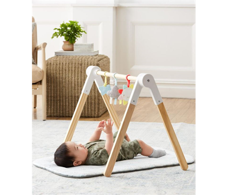 Skip Hop Silver Lining Cloud Wooden Activity Gym