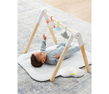 Skip Hop Silver Lining Cloud Wooden Activity Gym