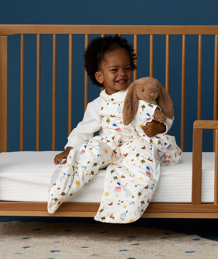 ergoPouch SLEEP SUIT BAG 2.5TOG - Daydream