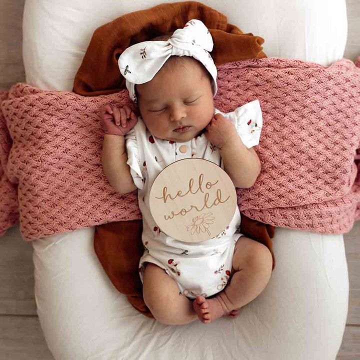 Snuggle Hunny Ladybug Wooden Milestone Cards