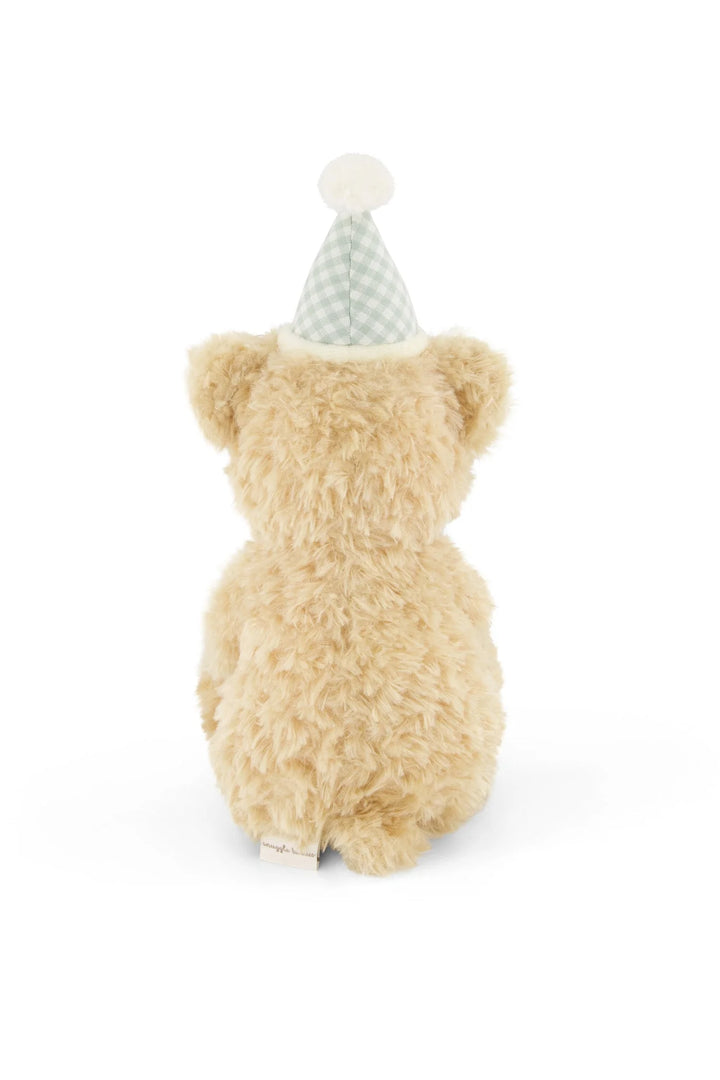 Snuggle Bunnies  Birthday Arthur - Gingham