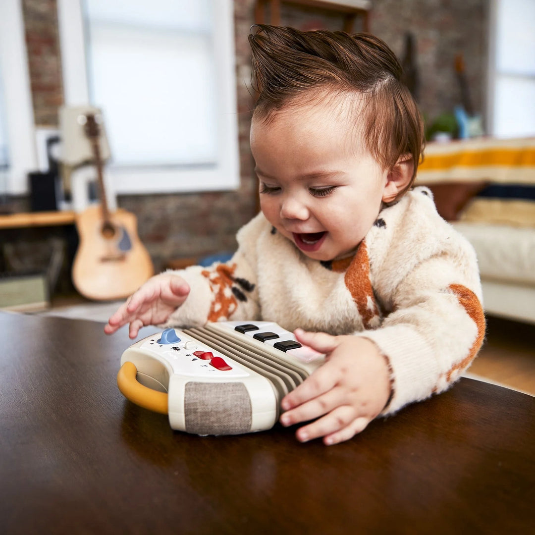 Tiny Love Rockers Electronic Accordion (31011)