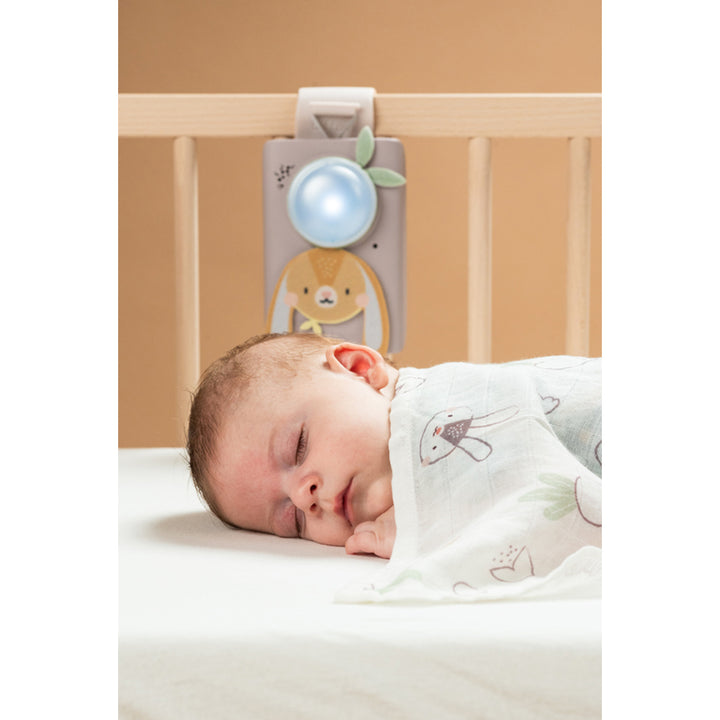 Taf Toys Bunny soother & swaddle 0m+ (TT13305)